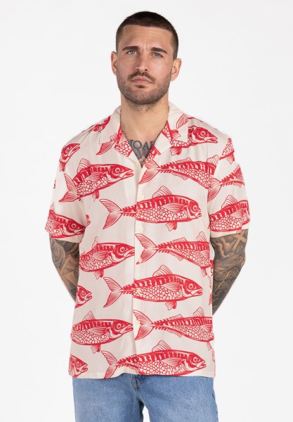 MSH KLSARDINES 1/2 patterned